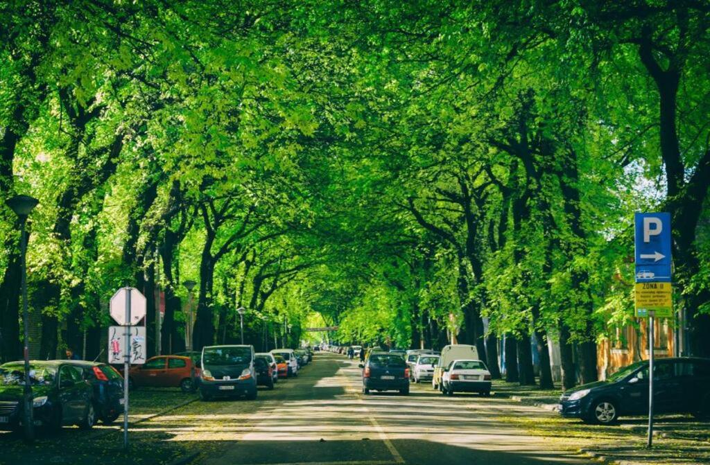 Cudesni Drvored Кикинда Экстерьер фото
